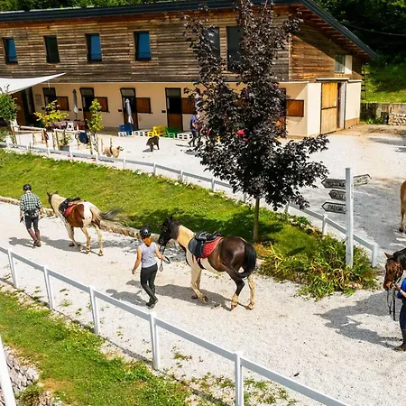 House Tarcin Holiday home *